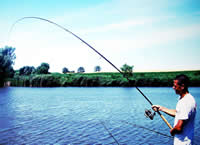 rod fishing