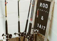 rod and bait