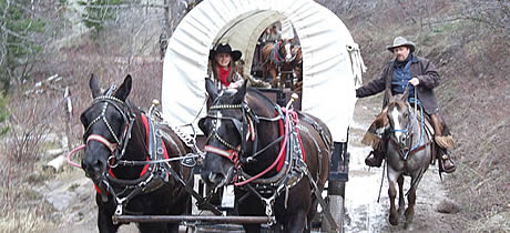 horsedrawn wagon holiday