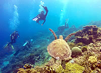 Indonesia scuba diving